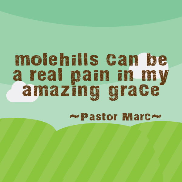 What are your molehills?