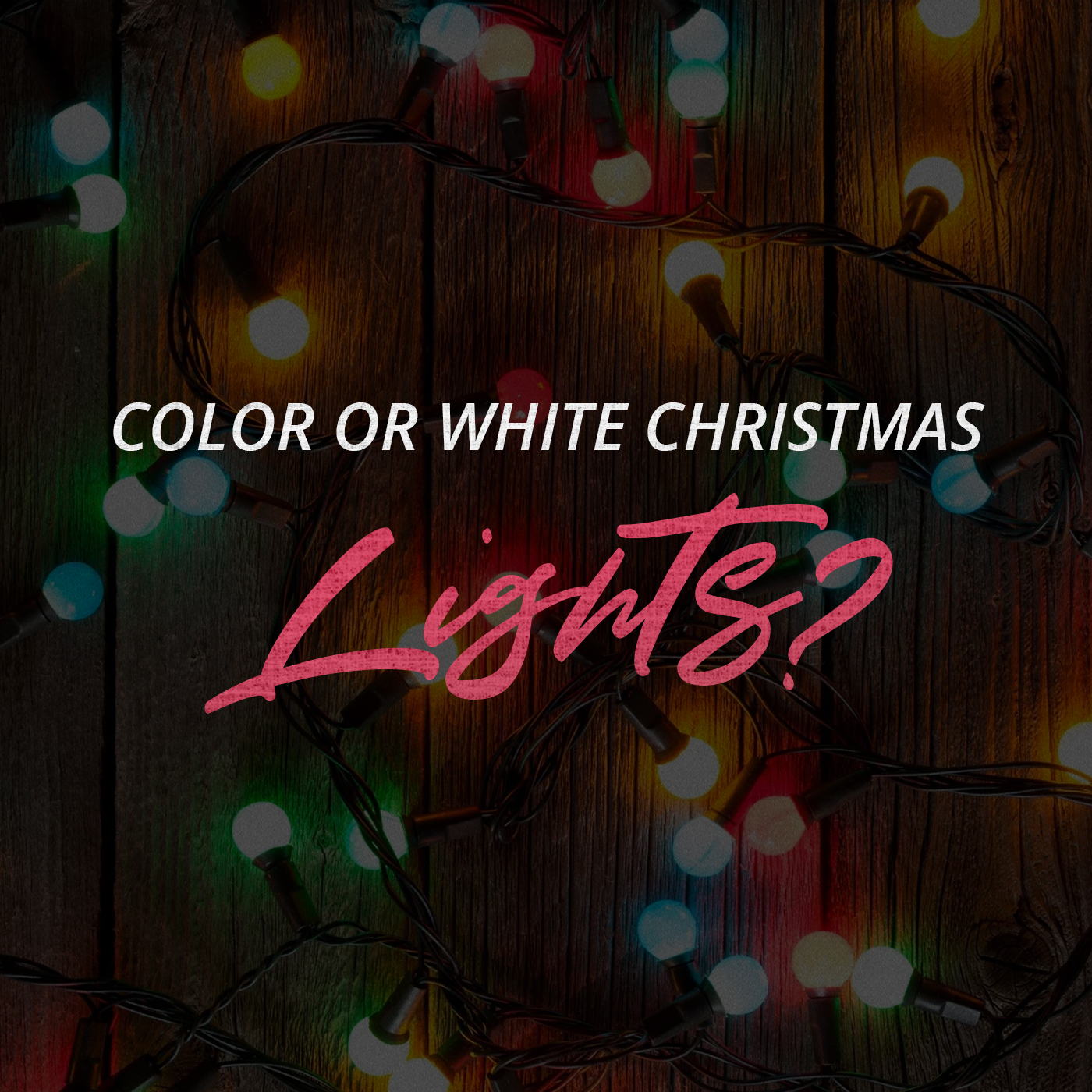 Color or White Christmas Lights?